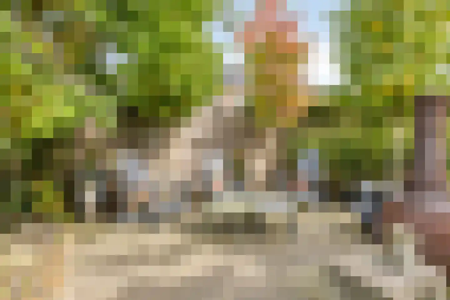 Weppel 6 Vorden thumbnail 34