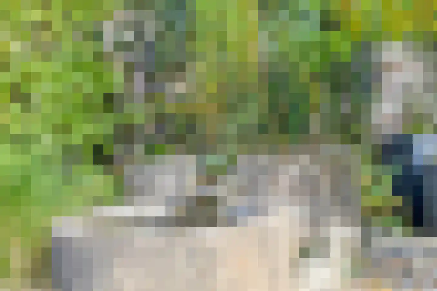 Weppel 6 Vorden thumbnail 36