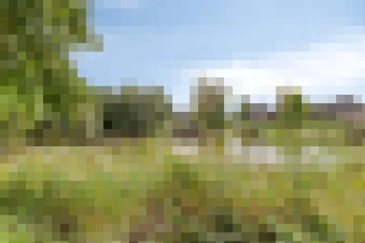 Weppel 6 Vorden thumbnail 41
