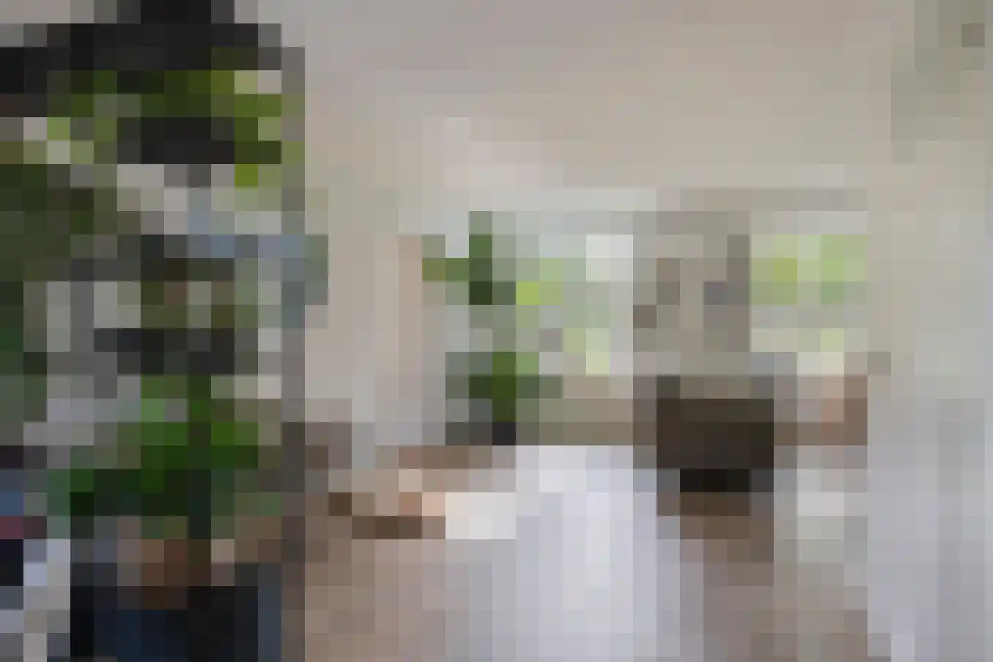 Weppel 6 Vorden thumbnail 5