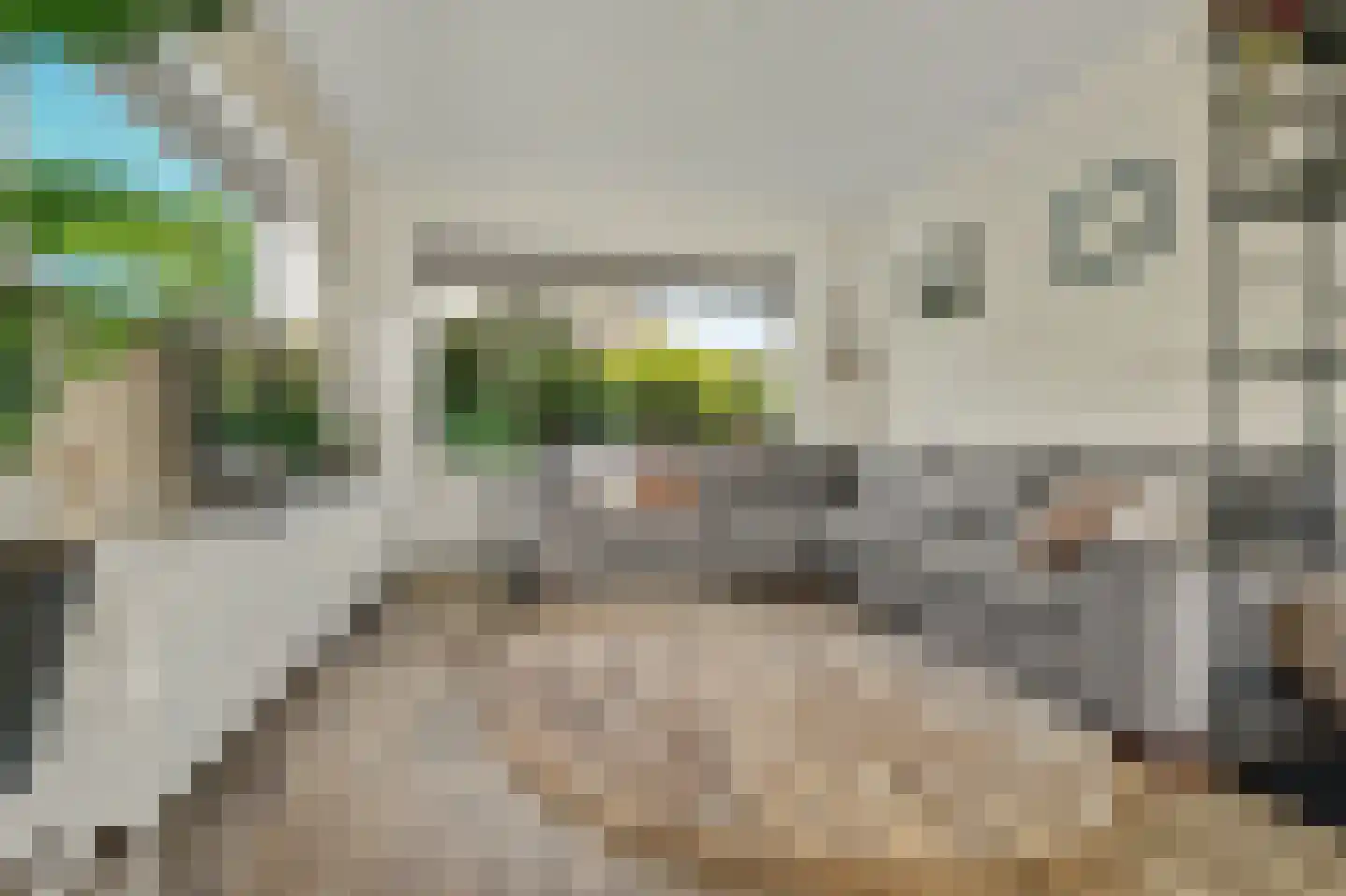 Werckendetstraat 2 Zierikzee thumbnail 13