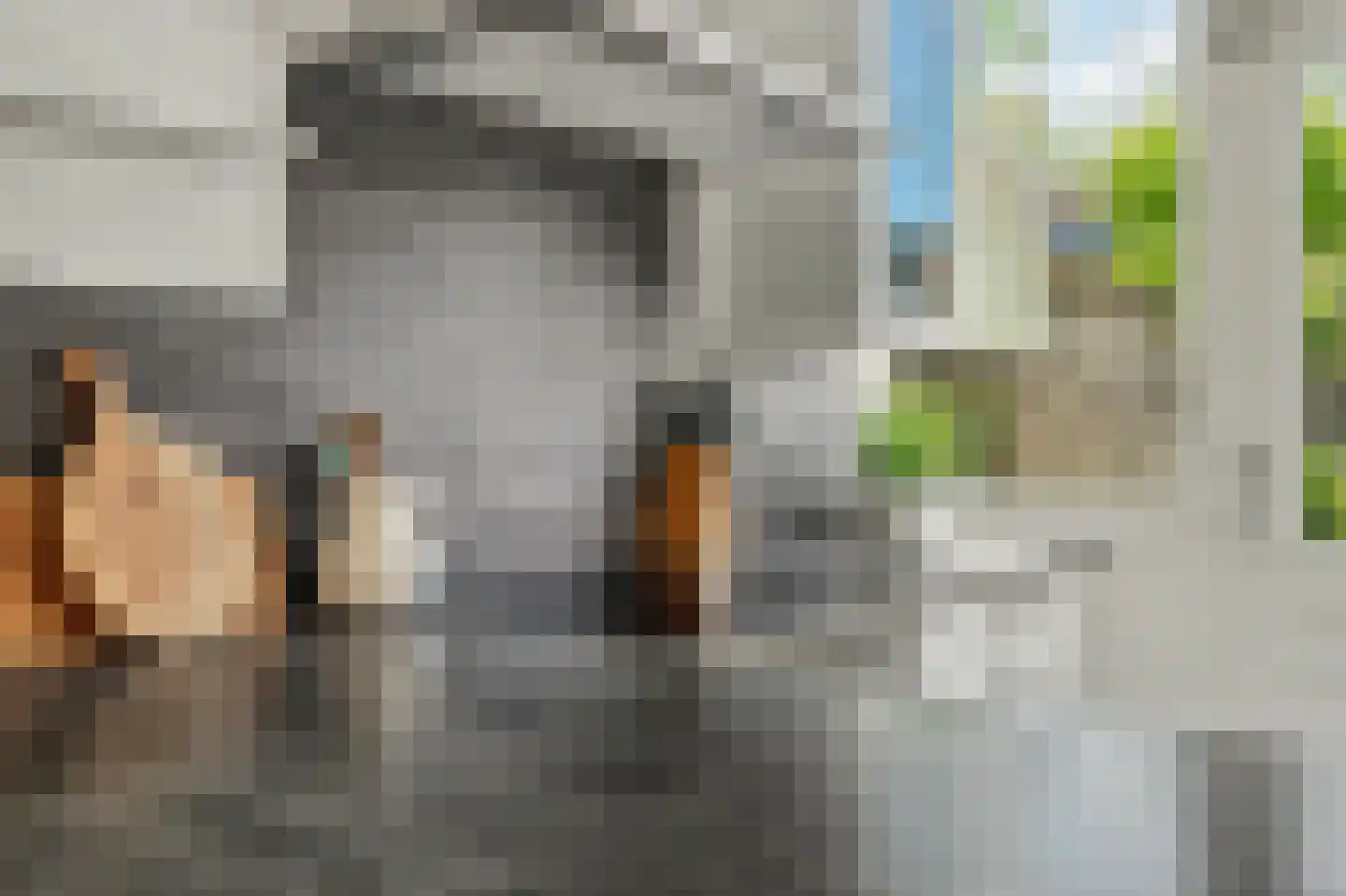 Werckendetstraat 2 Zierikzee thumbnail 21