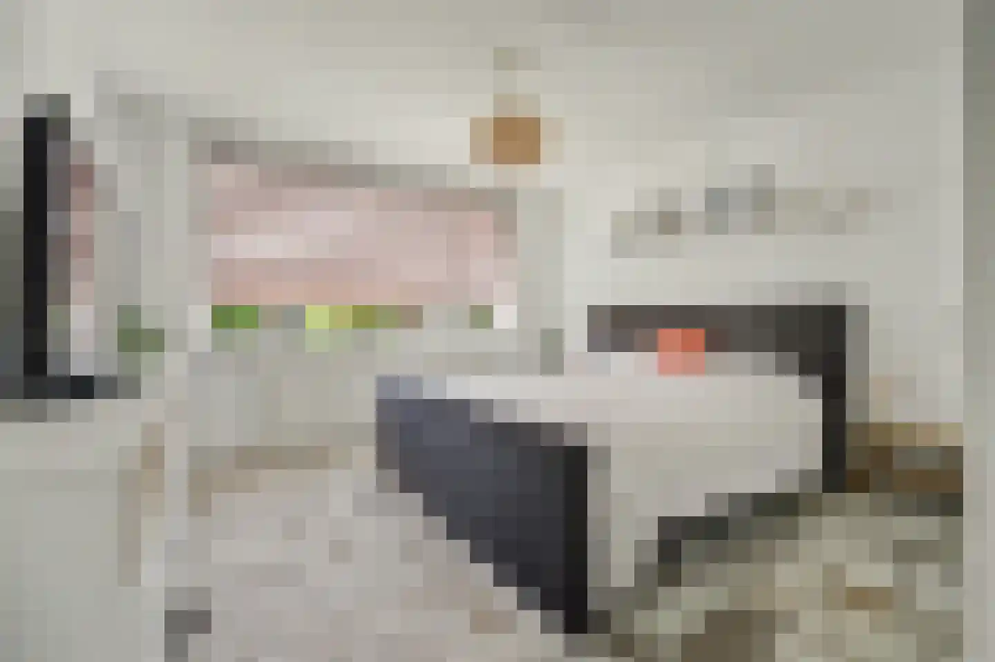 Werckendetstraat 2 Zierikzee thumbnail 25