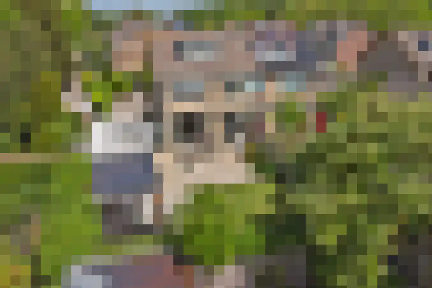 Werckendetstraat 2 Zierikzee thumbnail 35