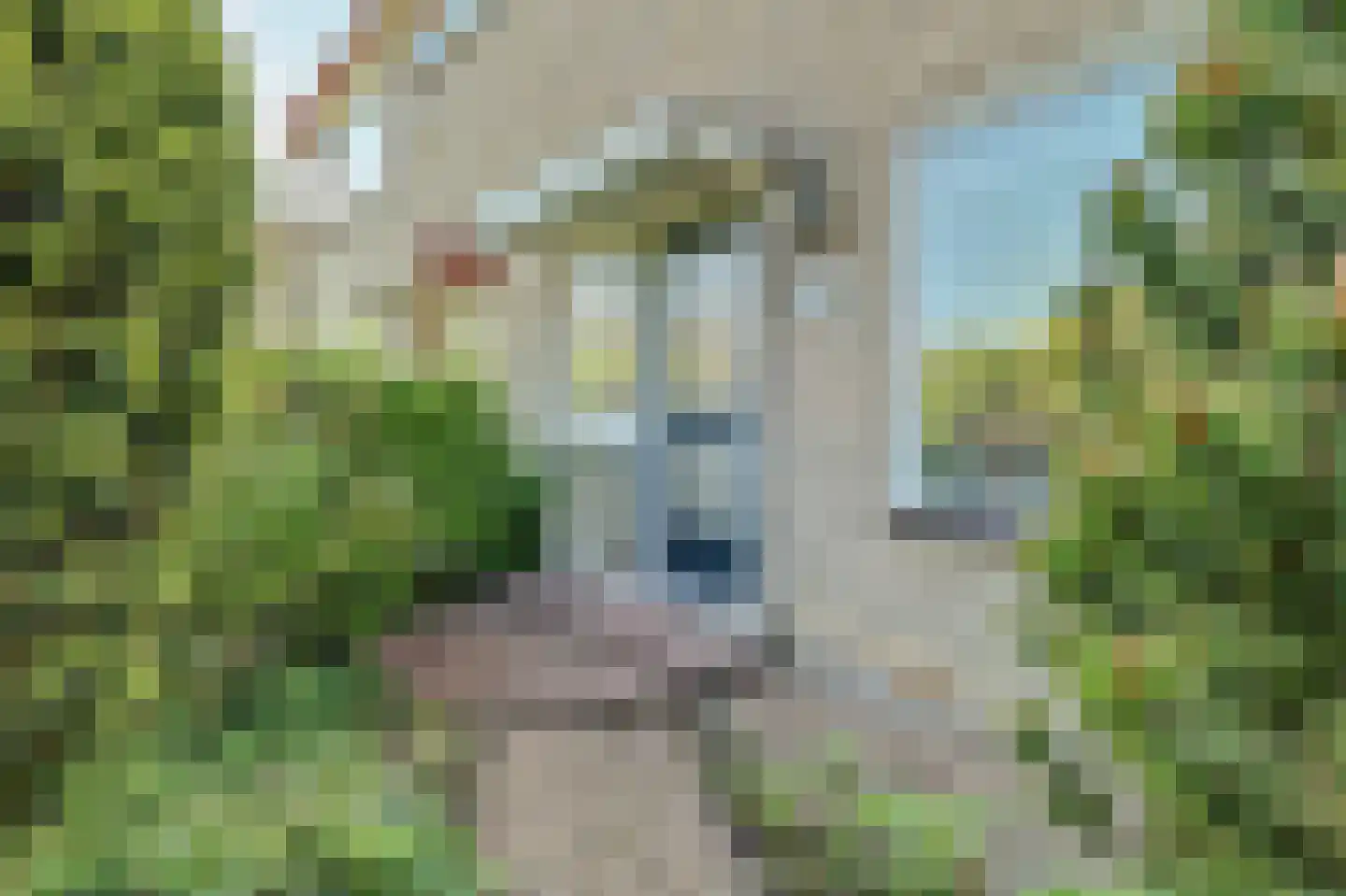 Werckendetstraat 2 Zierikzee thumbnail 8