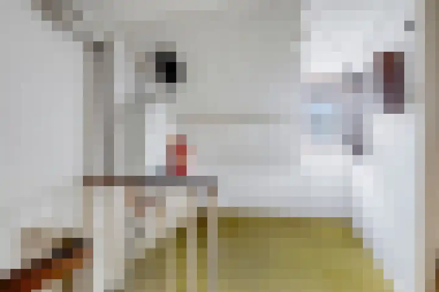 Werckendetstraat 6 Zierikzee thumbnail 29