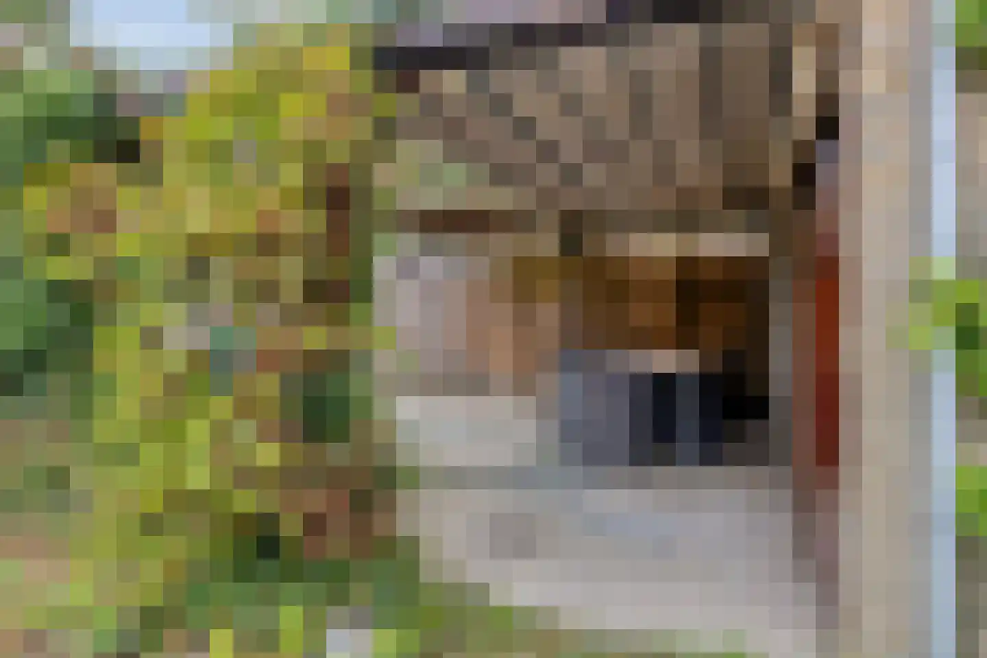 Werckendetstraat 6 Zierikzee thumbnail 36
