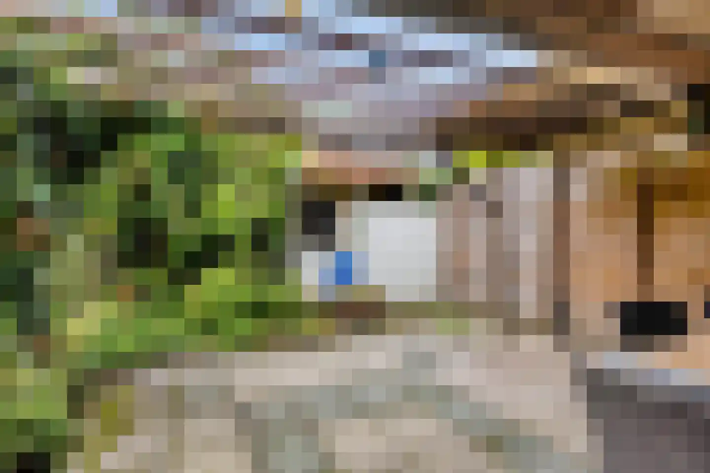 Werckendetstraat 6 Zierikzee thumbnail 37