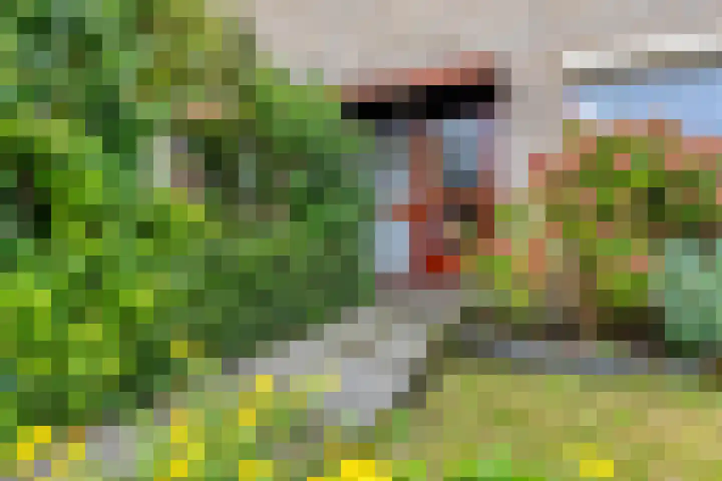 Werckendetstraat 6 Zierikzee thumbnail 4