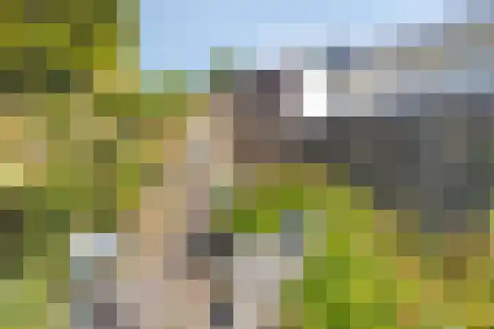 Werckendetstraat 8 Zierikzee thumbnail 32