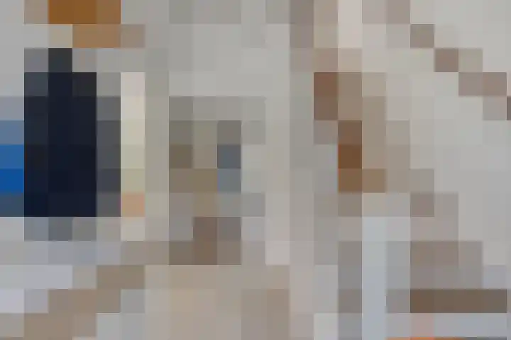 Werckendetstraat 8 Zierikzee thumbnail 4