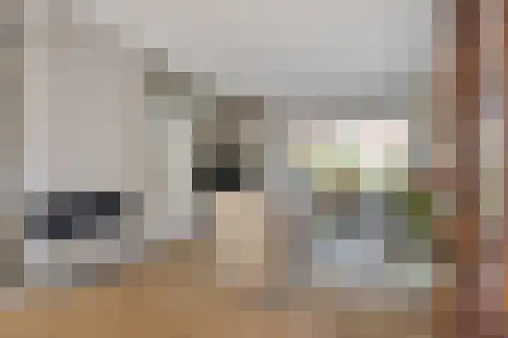 Werckendetstraat 8 Zierikzee thumbnail 8