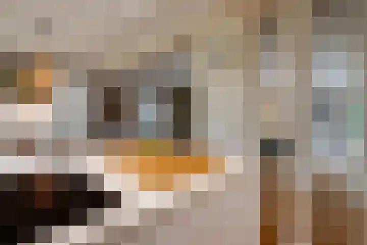 Werckenslaan 4 Venray thumbnail 11