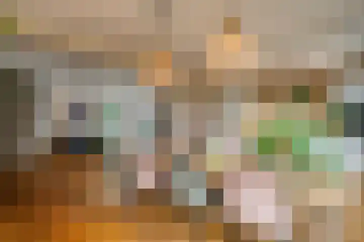 Werckenslaan 4 Venray thumbnail 19
