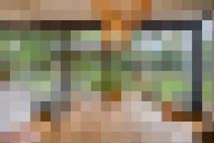 Werckenslaan 4 Venray thumbnail 33