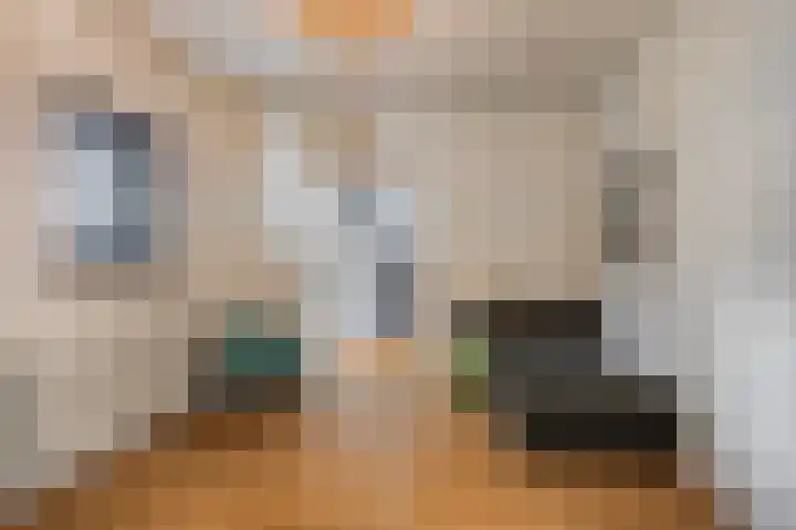 Werckenslaan 4 Venray thumbnail 36
