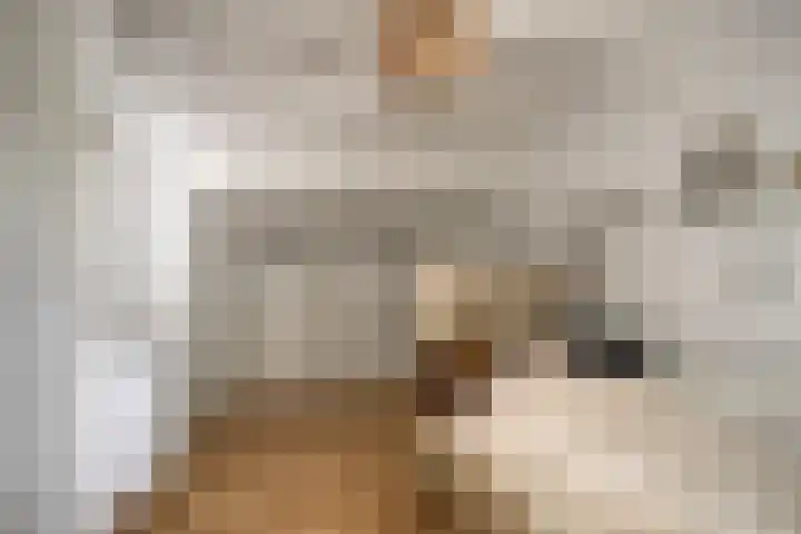 Werckenslaan 4 Venray thumbnail 42