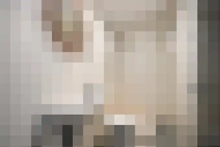 Werckenslaan 4 Venray thumbnail 55