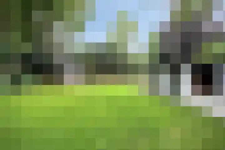 Werckenslaan 4 Venray thumbnail 57