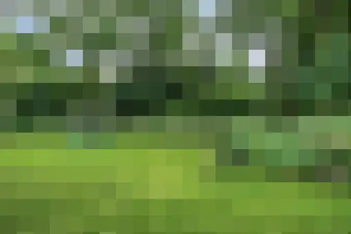 Werckenslaan 4 Venray thumbnail 63