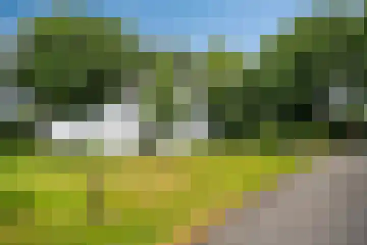 Werckenslaan 4 Venray thumbnail 64
