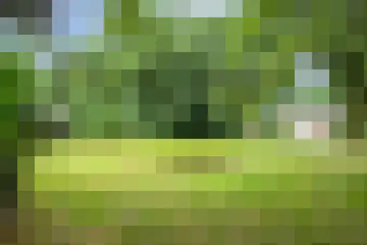 Werckenslaan 4 Venray thumbnail 70