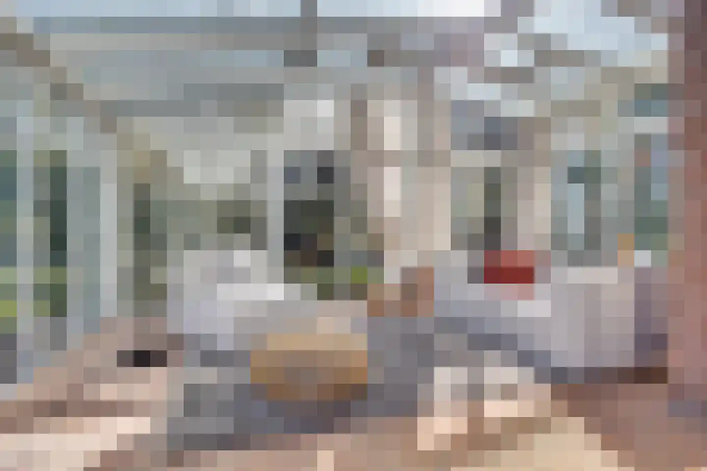Werdorperwaard 13 Odijk thumbnail 18