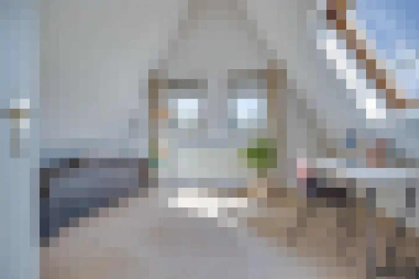 Werdorperwaard 13 Odijk thumbnail 37