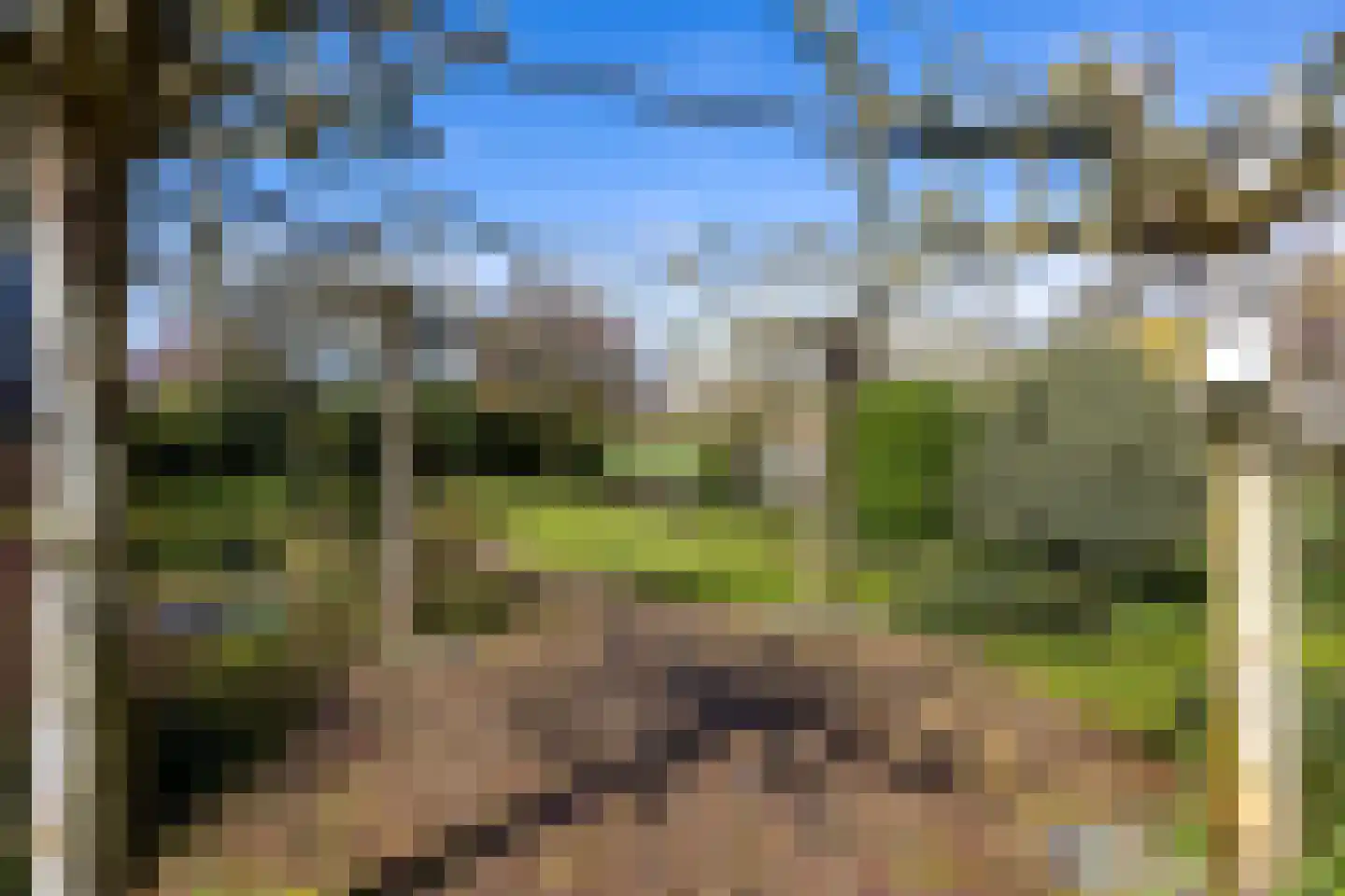 Werdorperwaard 13 Odijk thumbnail 44