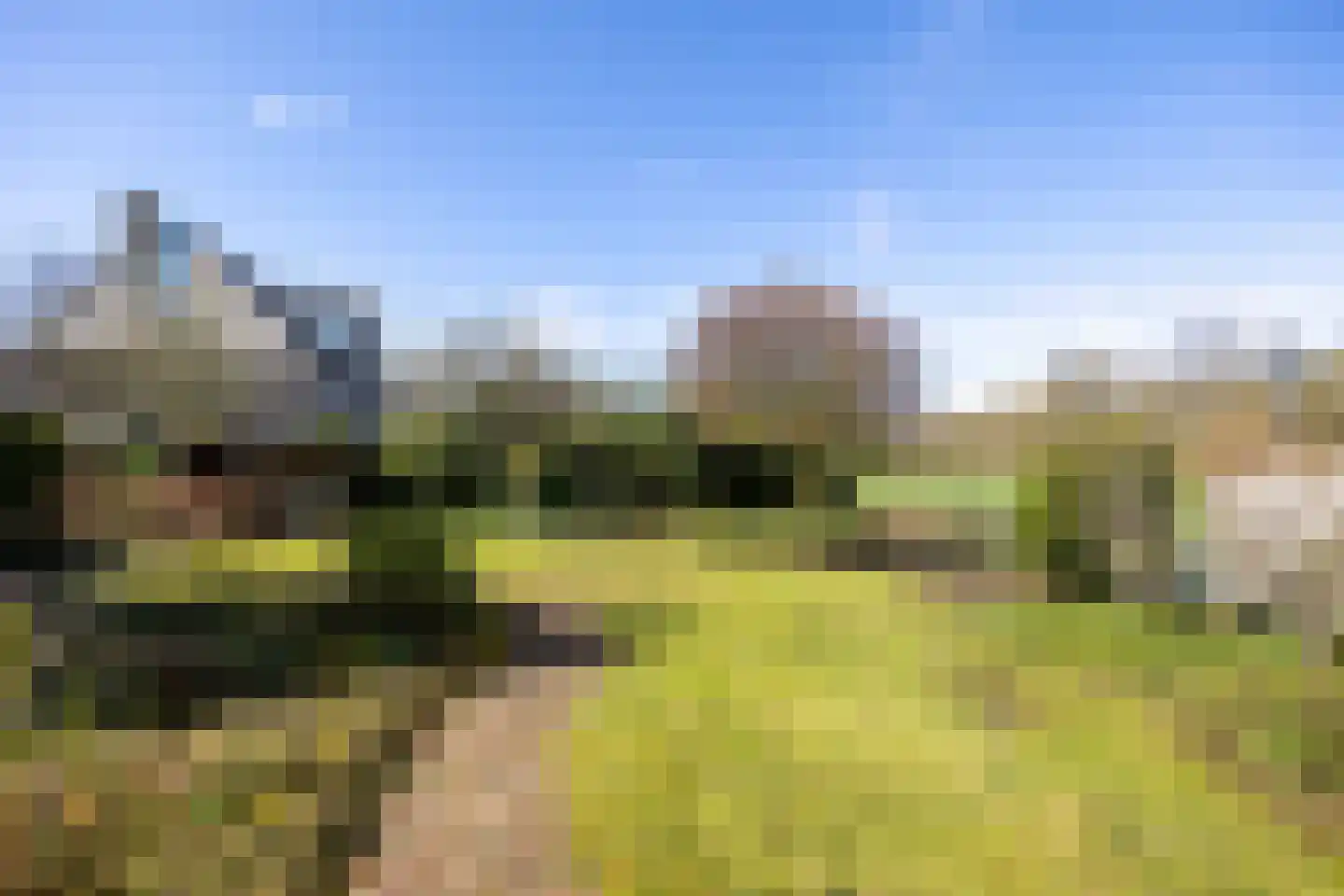 Werdorperwaard 13 Odijk thumbnail 45
