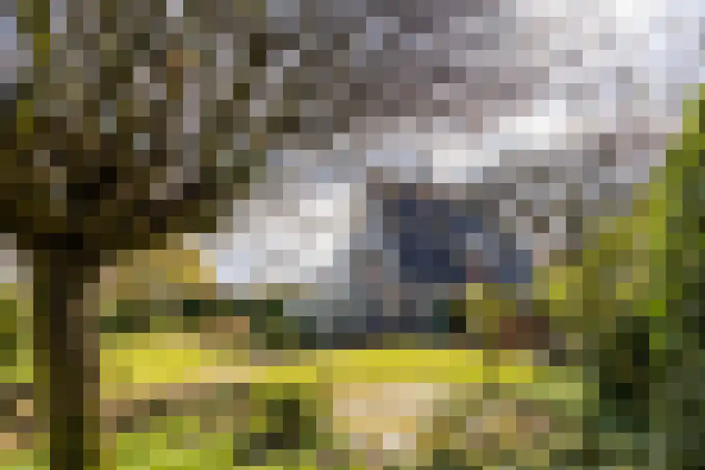 Werdorperwaard 13 Odijk thumbnail 46