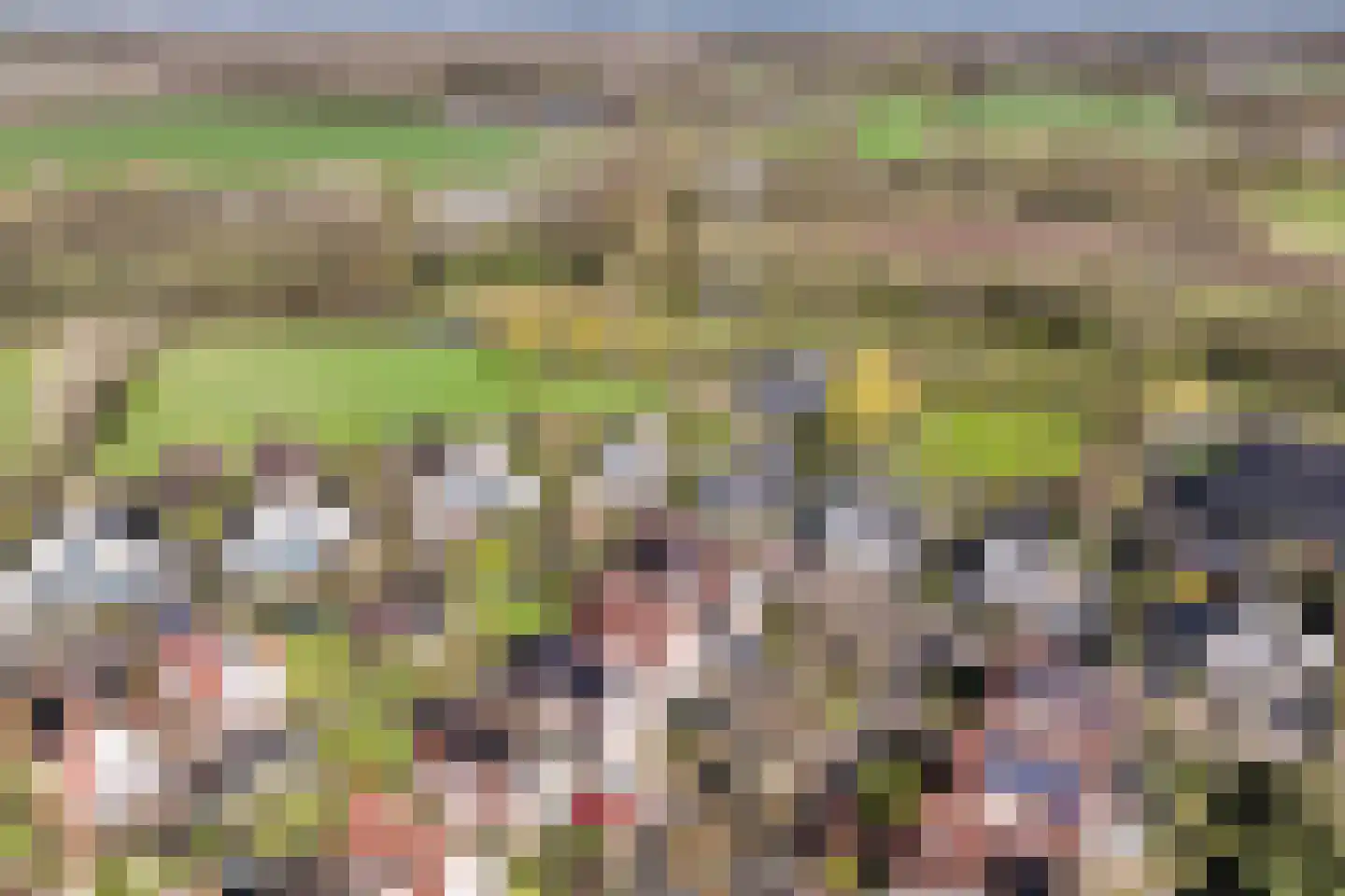 Werdorperwaard 13 Odijk thumbnail 48