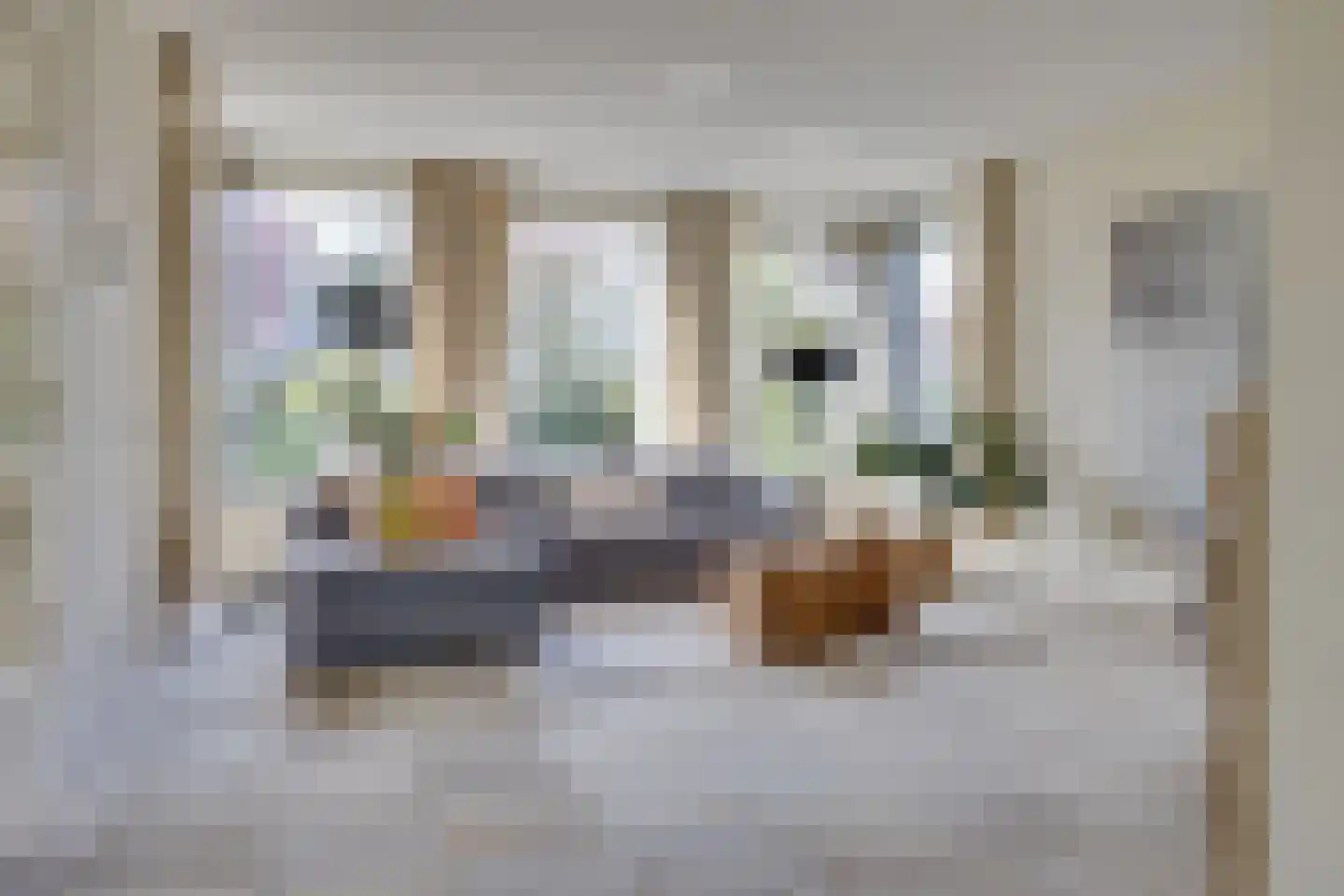 Werdorperwaard 13 Odijk thumbnail 5