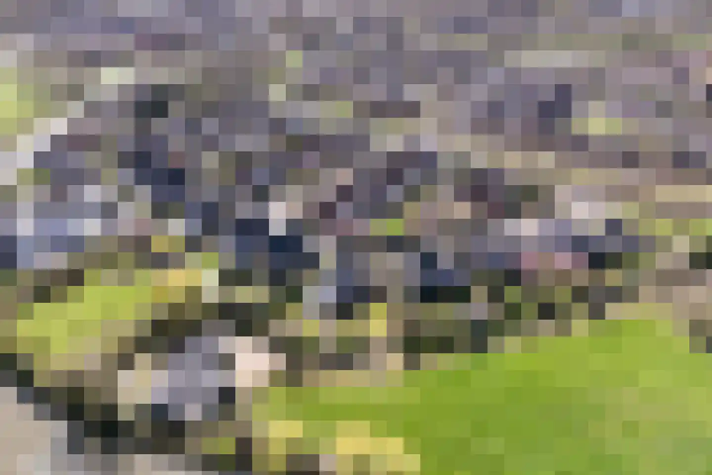 Werdorperwaard 13 Odijk thumbnail 50