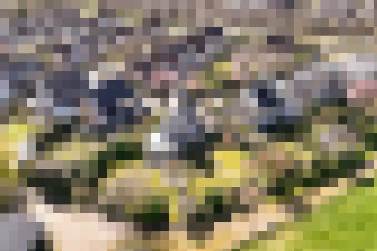 Werdorperwaard 13 Odijk thumbnail 51