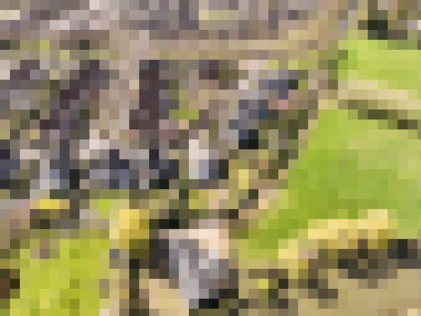 Werdorperwaard 13 Odijk thumbnail 52