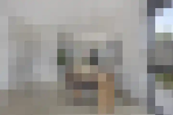 Werelderfgoed 22 Middenbeemster thumbnail 11