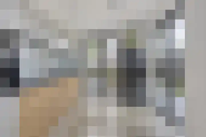 Werelderfgoed 22 Middenbeemster thumbnail 14