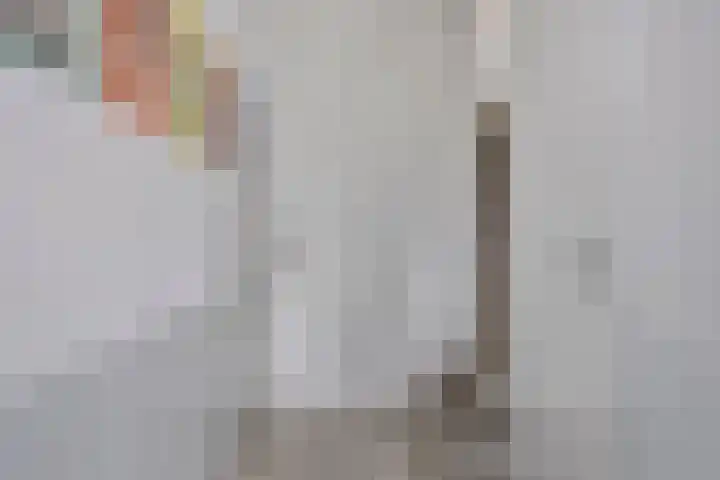 Werelderfgoed 22 Middenbeemster thumbnail 18