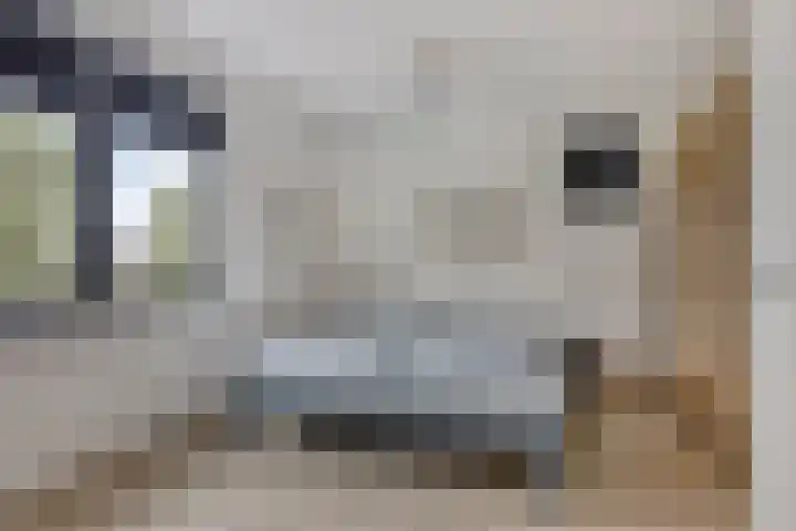 Werelderfgoed 22 Middenbeemster thumbnail 19