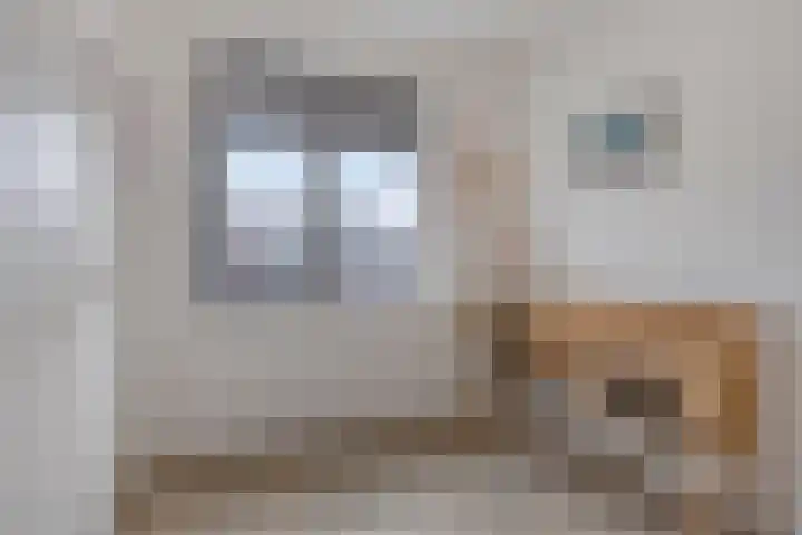 Werelderfgoed 22 Middenbeemster thumbnail 26