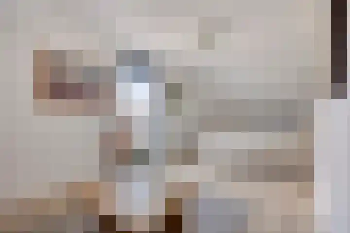 Werelderfgoed 22 Middenbeemster thumbnail 32