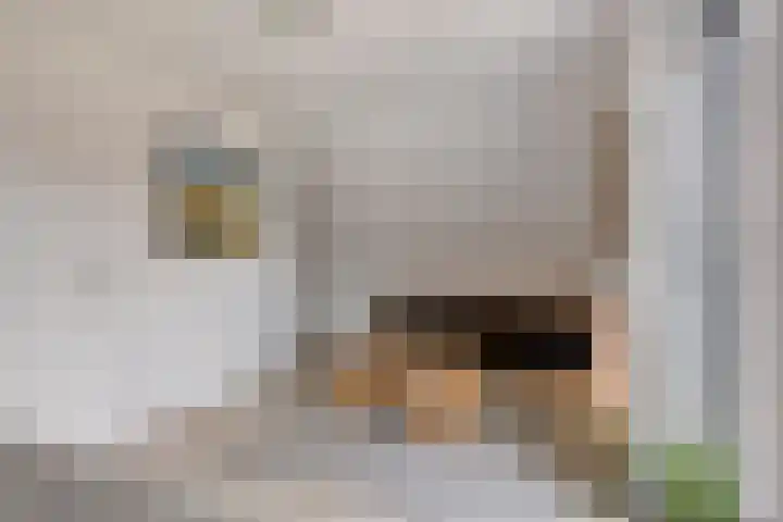 Werelderfgoed 22 Middenbeemster thumbnail 33