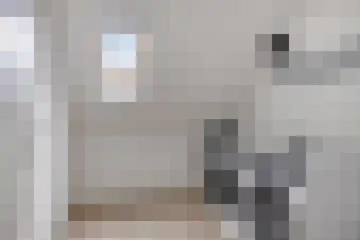 Werelderfgoed 22 Middenbeemster thumbnail 34