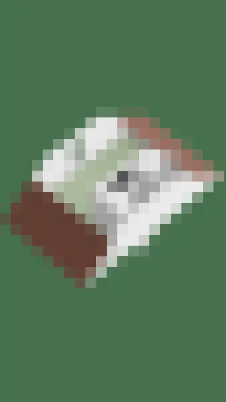 Werelderfgoed 22 Middenbeemster thumbnail 45