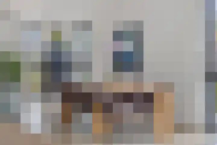 Werelderfgoed 22 Middenbeemster thumbnail 9