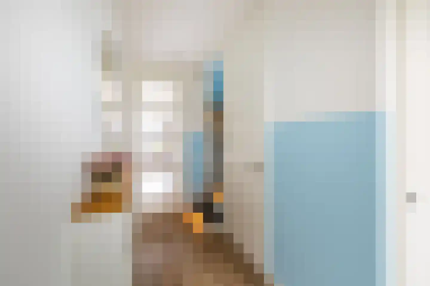 Werelderfgoed 50 Middenbeemster thumbnail 8