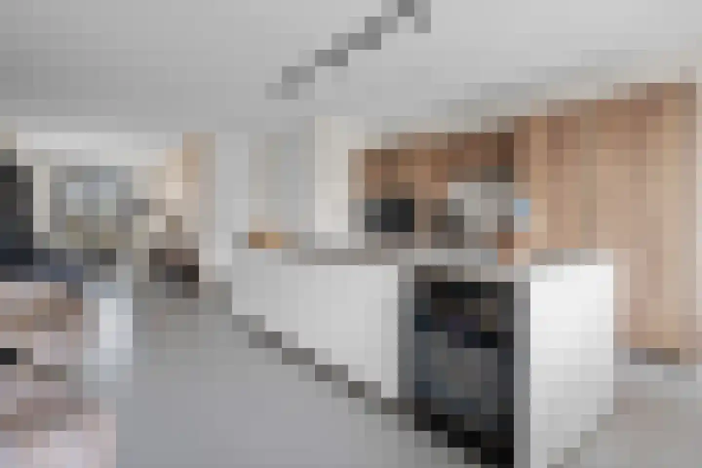 Werelderfgoed 56 Middenbeemster thumbnail 18
