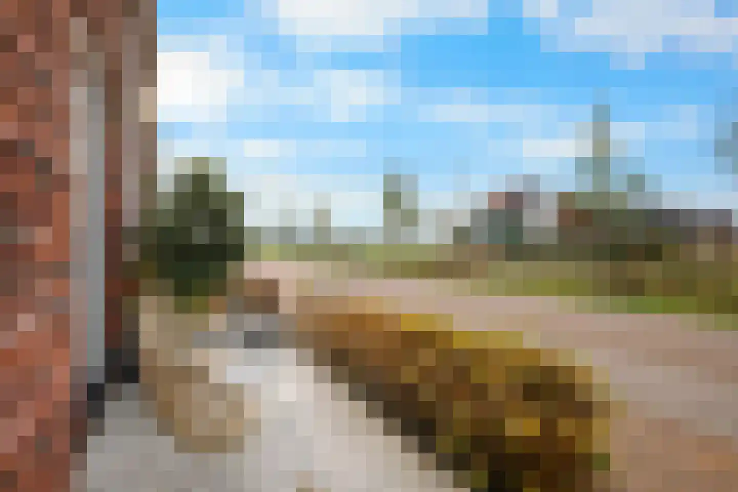 Werelderfgoed 56 Middenbeemster thumbnail 49