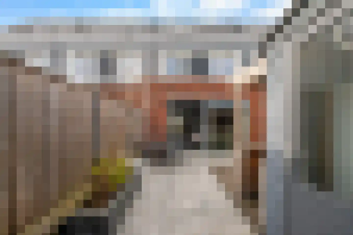 Werelderfgoed 56 Middenbeemster thumbnail 54